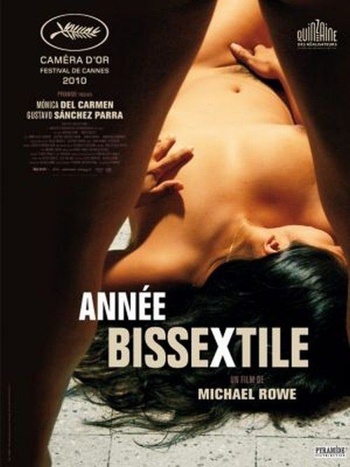 Année Bissextile - Film (2010)