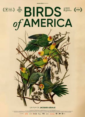 Birds of America - Documentaire (2022)