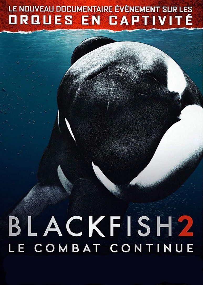 Blackfish 2 - Documentaire (2021)