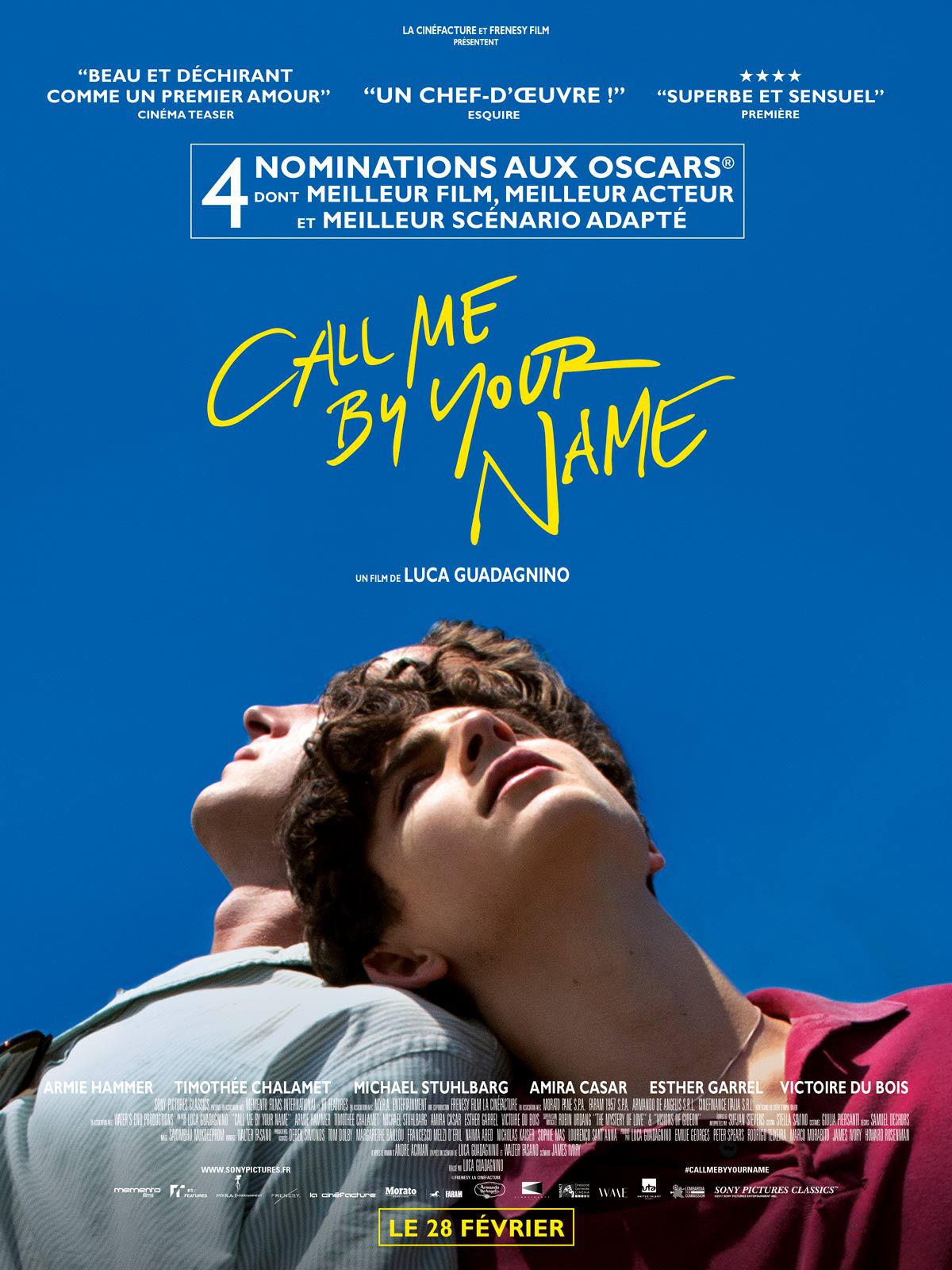 Call Me by Your Name - Film (2018)