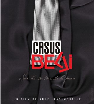 Casus belli - Documentaire (2014)