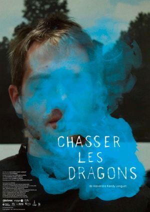 Chasser les dragons - Documentaire (2021)