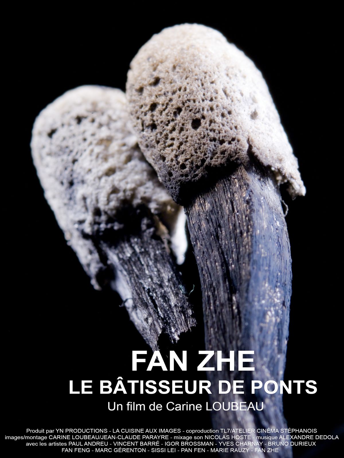 Fan Zhe, Le Bâtisseur De Ponts - Documentaire (2020)