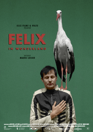 Felix in Wonderland - Film (2021)