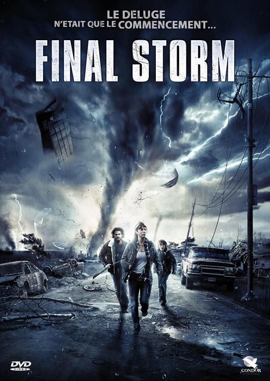 Final Storm - Film (2010)
