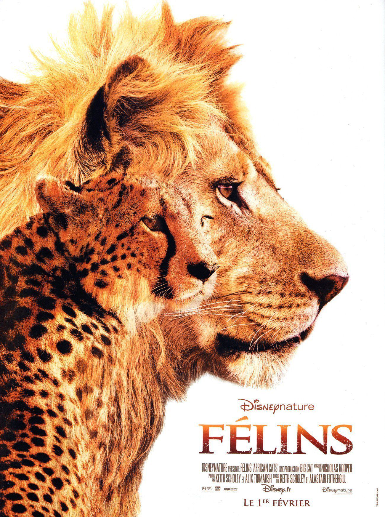 Félins - Documentaire (2012)