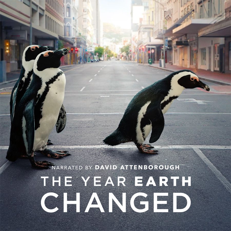 L'Année où la Terre a changé - Documentaire (2021)