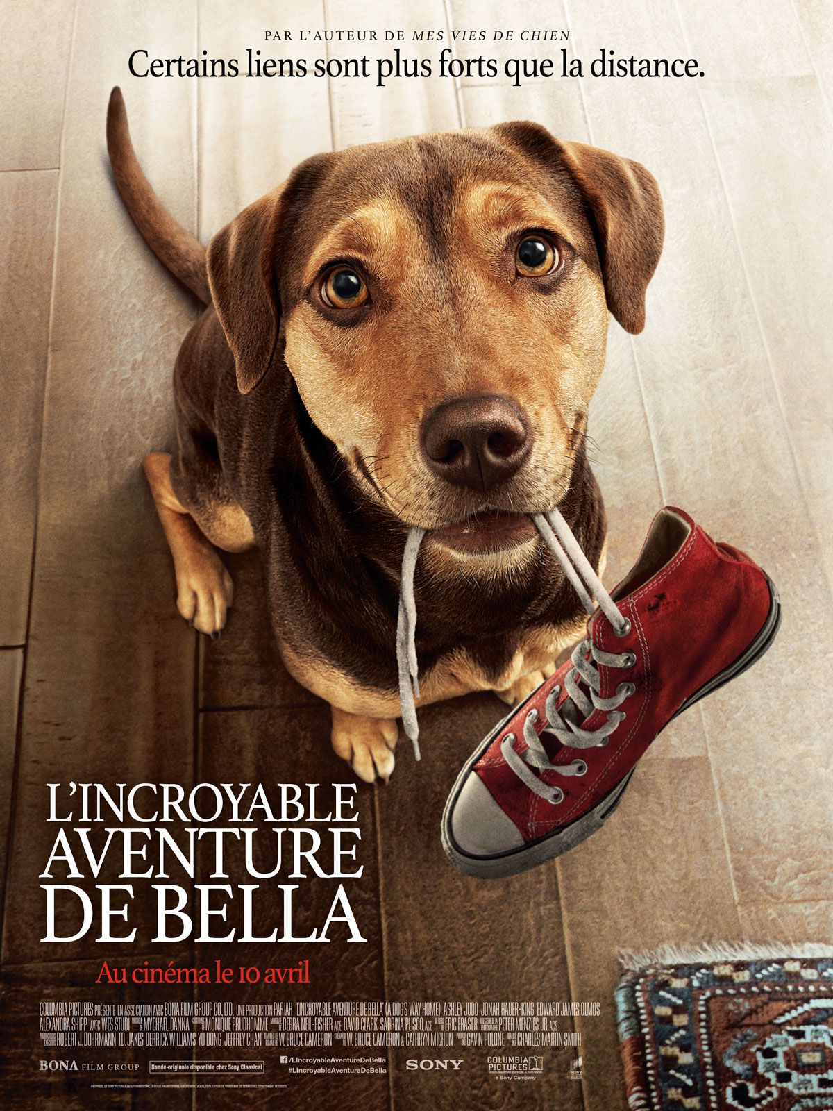L'Incroyable aventure de Bella - Film (2019)