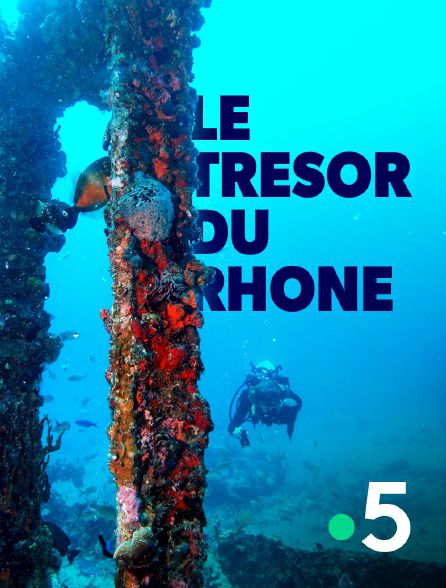 Le trésor du Rhône - Documentaire (2021)