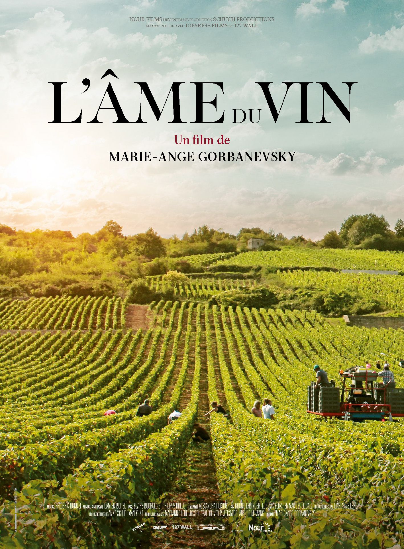 L'Âme du vin - Documentaire (2019)