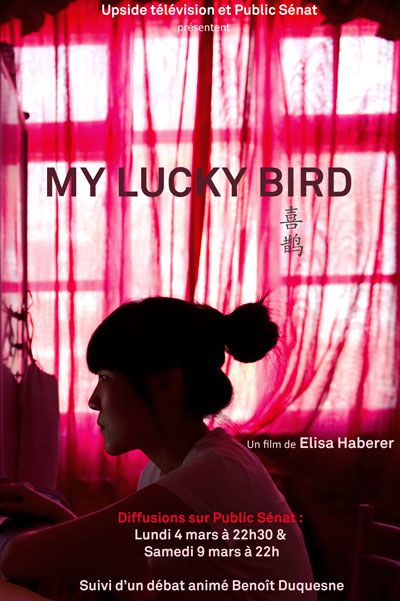 My Lucky bird - Documentaire (2013)