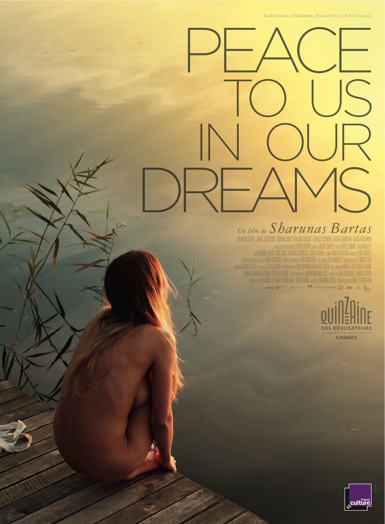 Peace To Us In Our Dreams - Film (2016)