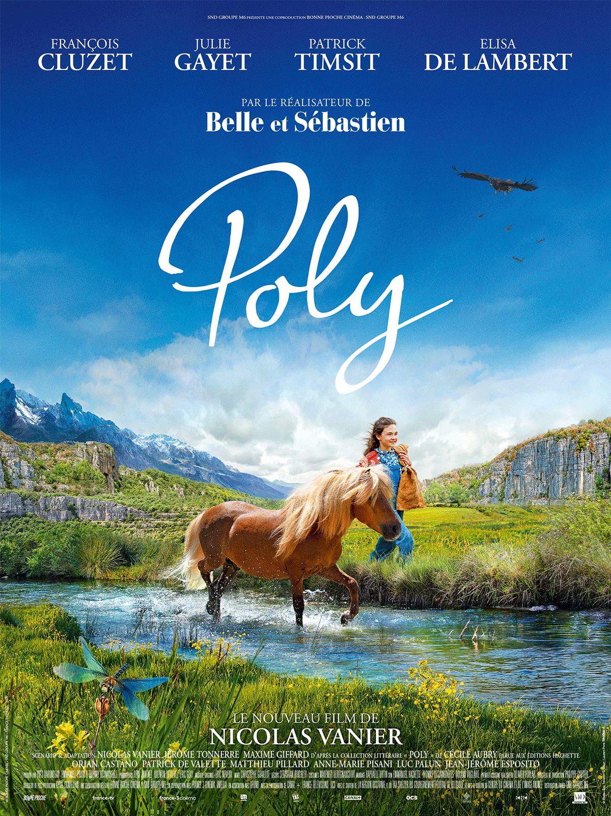 Poly - Film (2020)