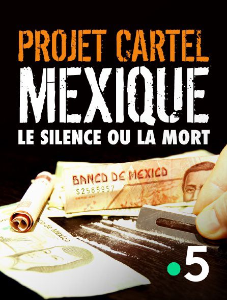 Projet Cartel : Mexique, le silence ou la mort - Documentaire (2021)