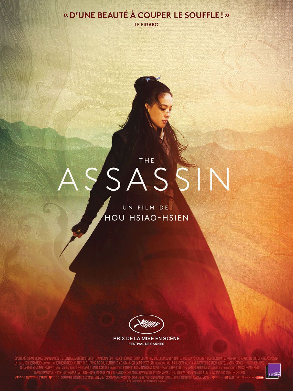 The Assassin - Film (2015)