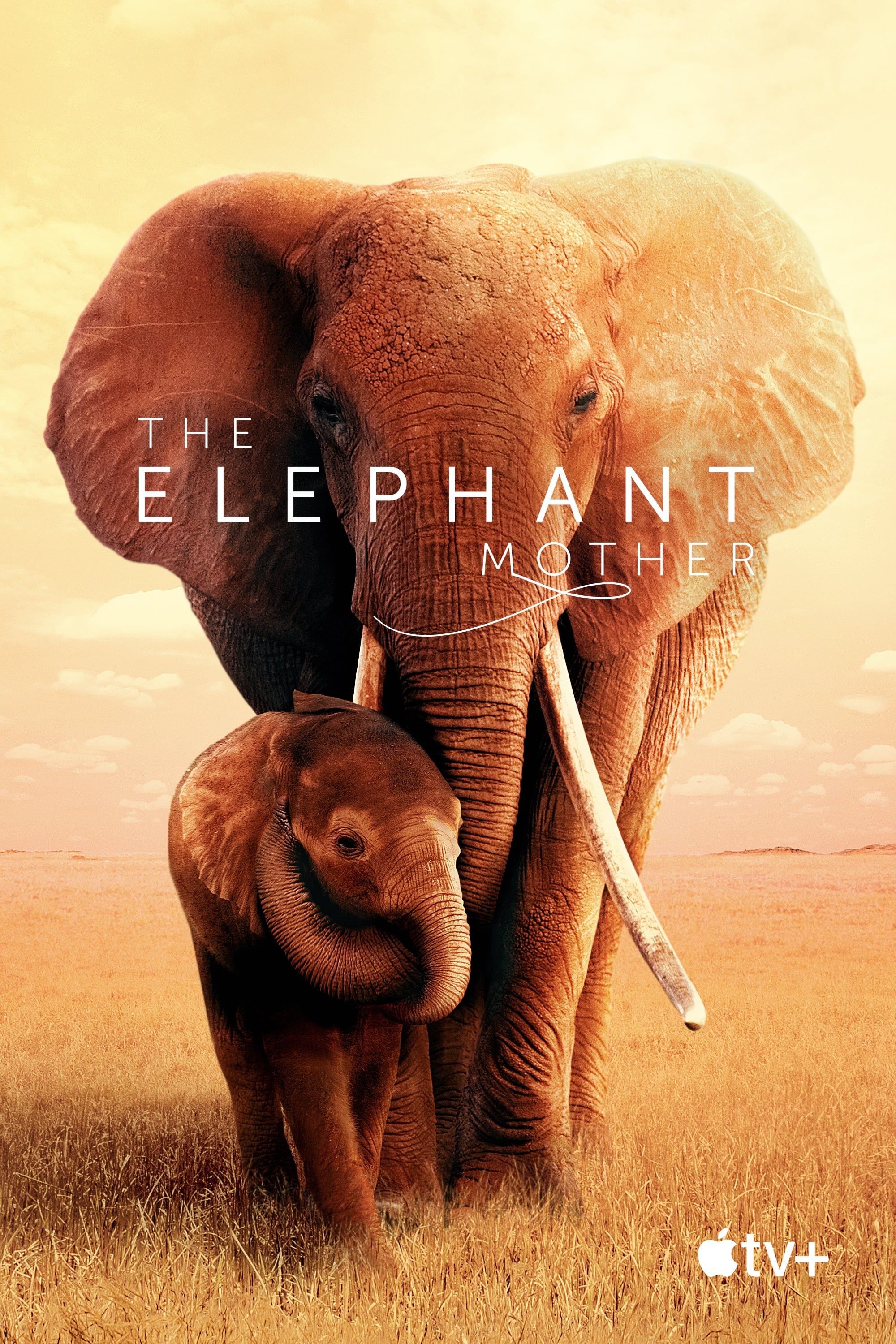 The Elephant Queen - Documentaire (2019)