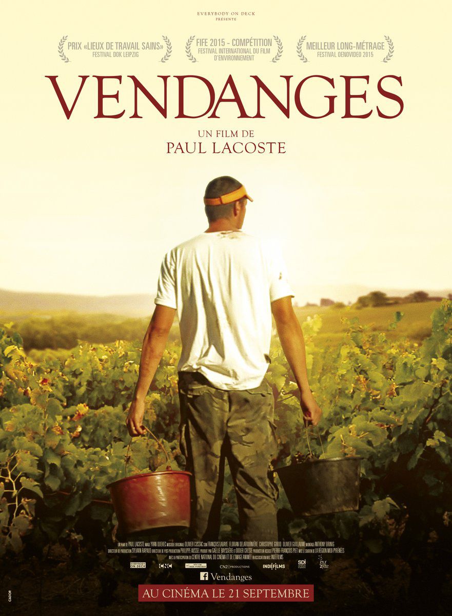 Vendanges - Documentaire (2016)