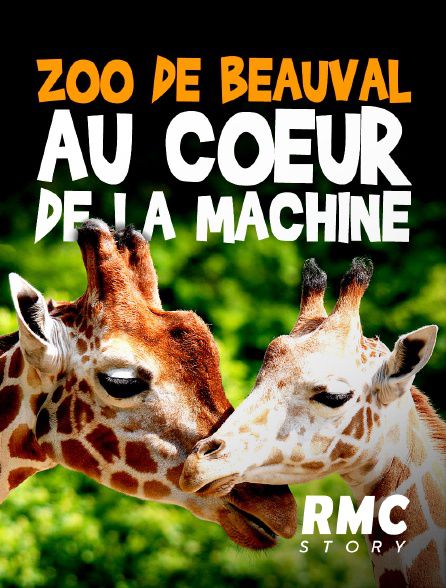 ZooParc de Beauval : au cœur de la machine - Documentaire (2021)